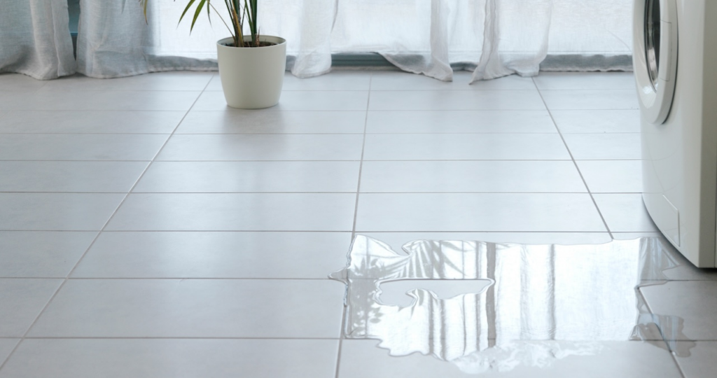Water is pooling on a tiled floor in front of a washing machine, with a potted plant and sheer curtains visible in the background.