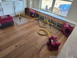 Hardwood floor water damage