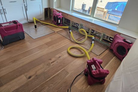 Hardwood floor water damage