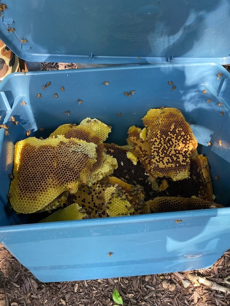 Our technicians removed a honeycomb in a Ringwood, New Jersey home.