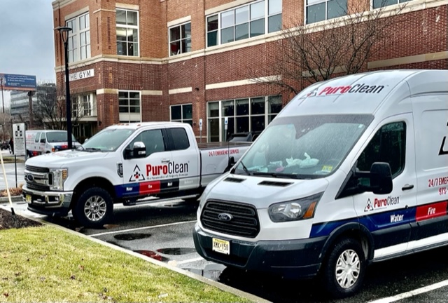 on the job for water damage remediation