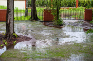 A flooded garden in Wayne park.