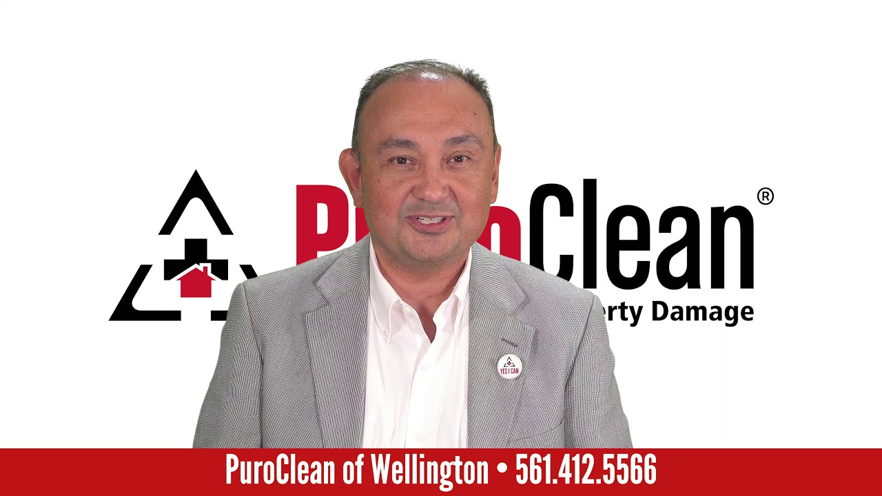 El Latino Feature: PuroClean of Wellington
