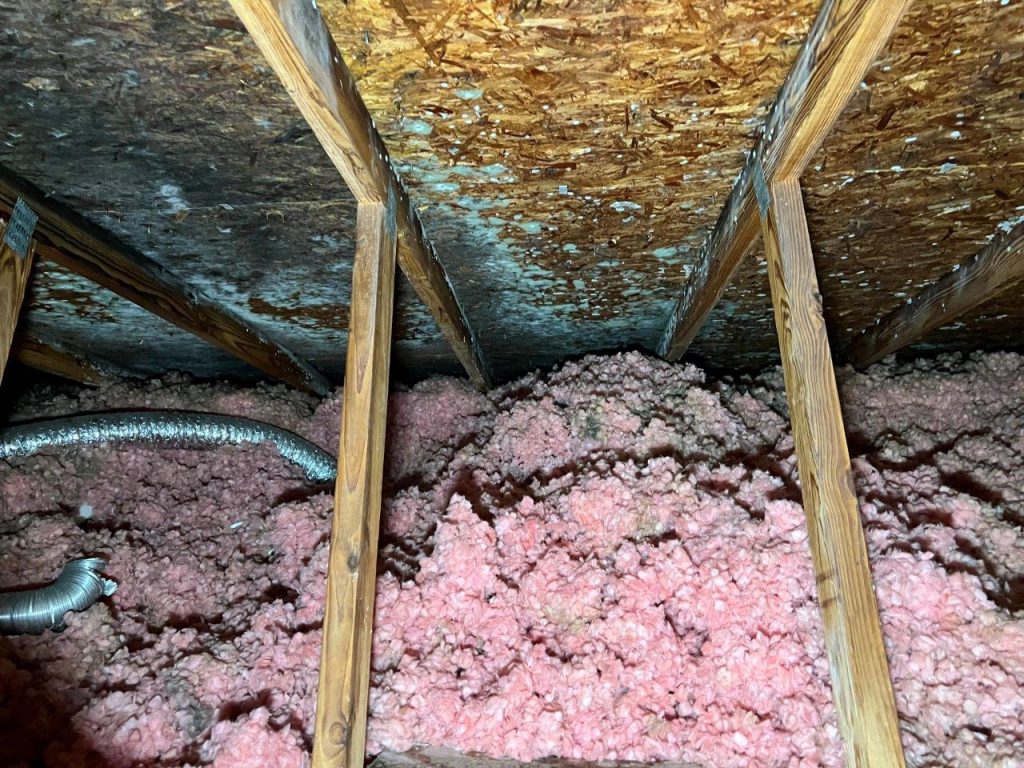 Mold in attic due to lack of vents after siding replacement. Requiring Mold Remediation