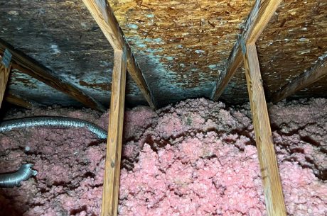 Mold in attic due to lack of vents after siding replacement. Requiring Mold Remediation