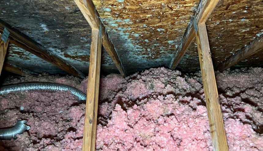 Mold in attic due to lack of vents after siding replacement. Requiring Mold Remediation