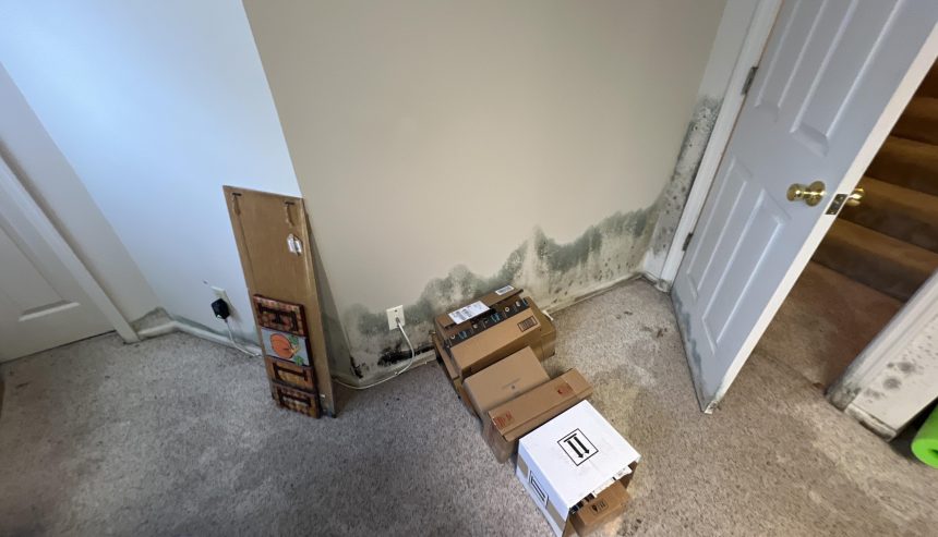Water Damage and Mold