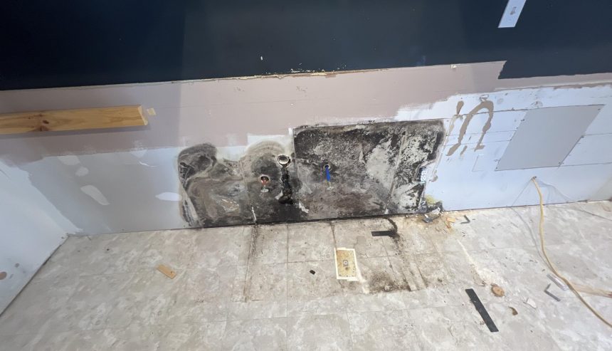 Mold behind kitchen sink