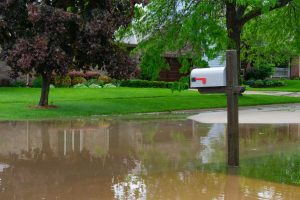 Mailbox surrounded by dirty floodwater on West Antelope Valley property