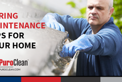 Spring Maintenance Tips for Your Home