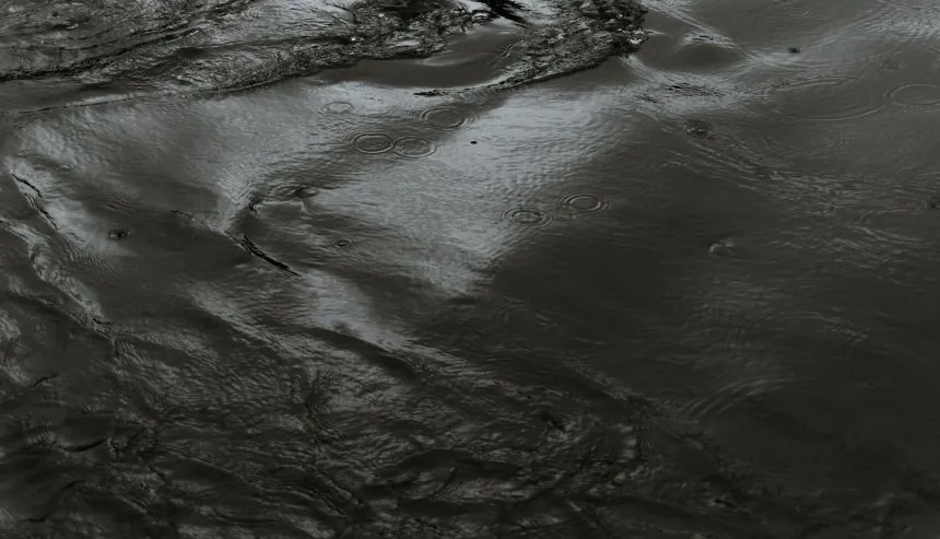 Black Water Damage Restoration