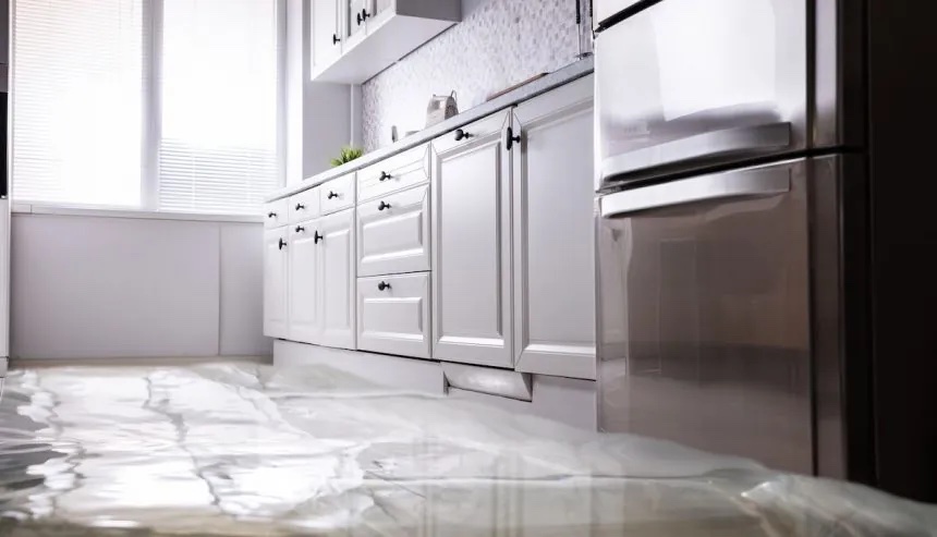 How to Fix and Prevent Dishwasher Leaks