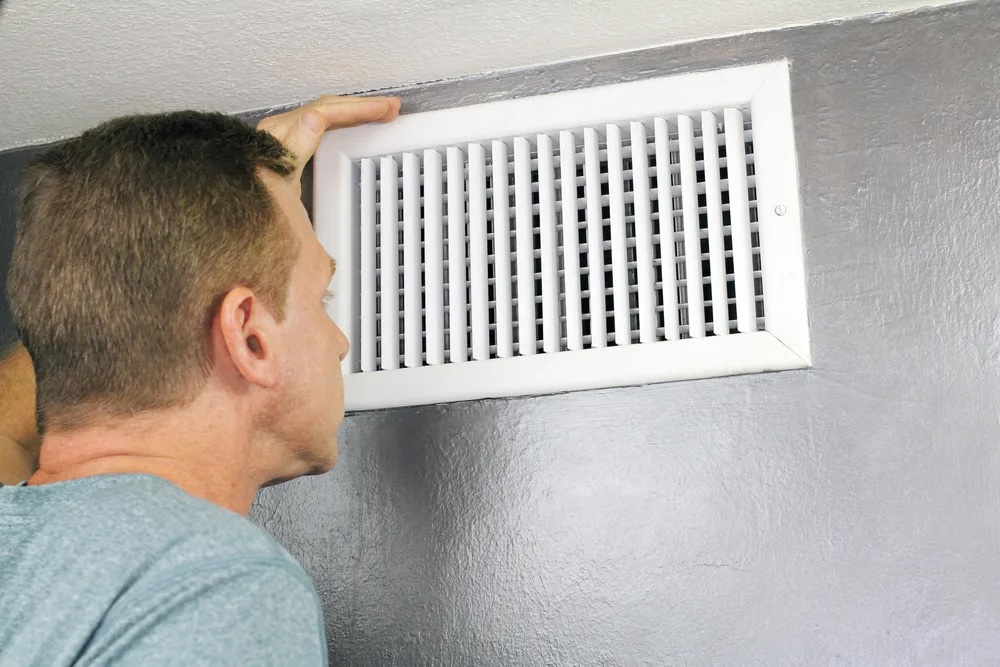 Mold in Air Duct