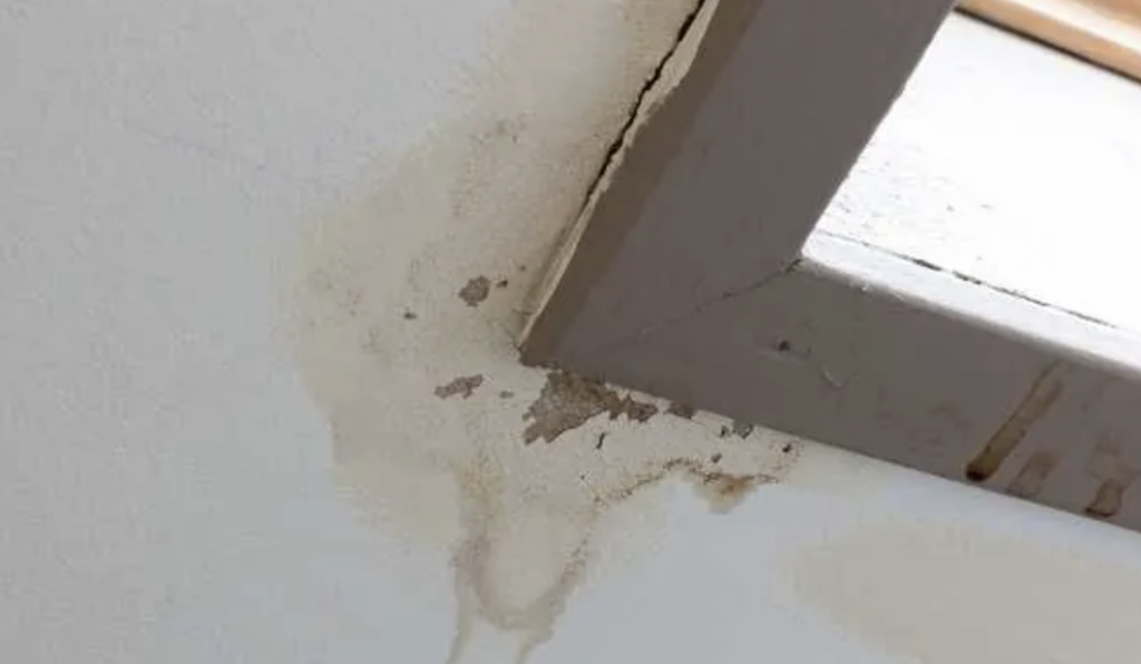 attic mold cleanup Lancaster