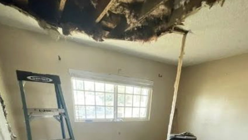 attic mold cleanup Palmdale