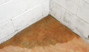 mold slab leak reapair Palmdale