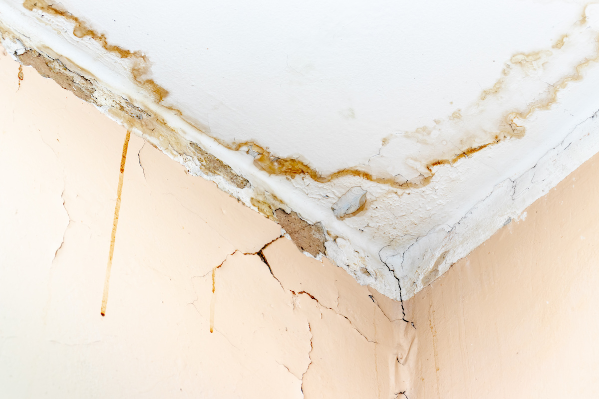 water damage restoration