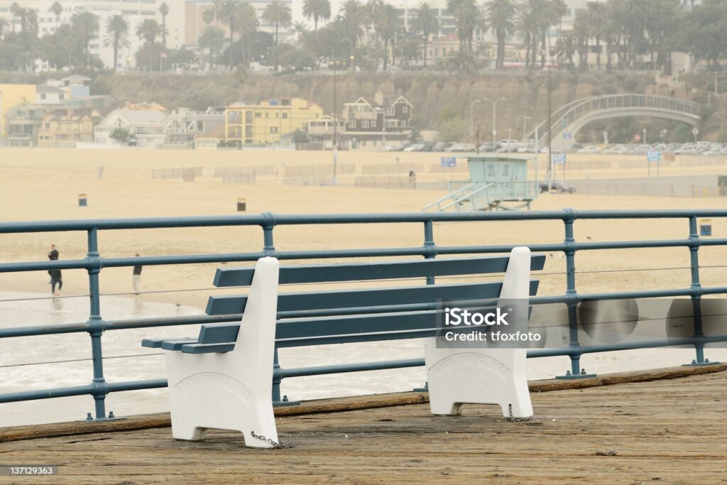 Mold Remediation in Santa Monica: Why You Should Trust No.1 PuroClean of Santa Monica