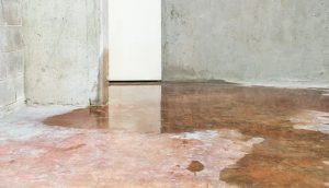 How to Find a Water Leak Underground a Santa Monica Home