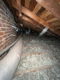 Keeping Your West LA Crawl Space Mold-Free: Prevention and Action
