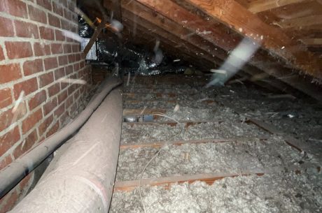 Keeping Your West LA Crawl Space Mold-Free: Prevention and Action