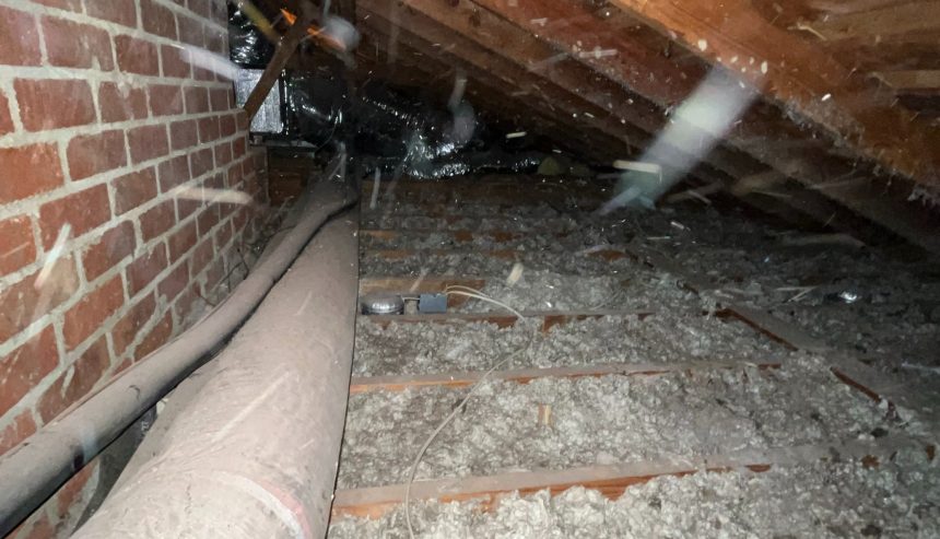 Keeping Your West LA Crawl Space Mold-Free: Prevention and Action