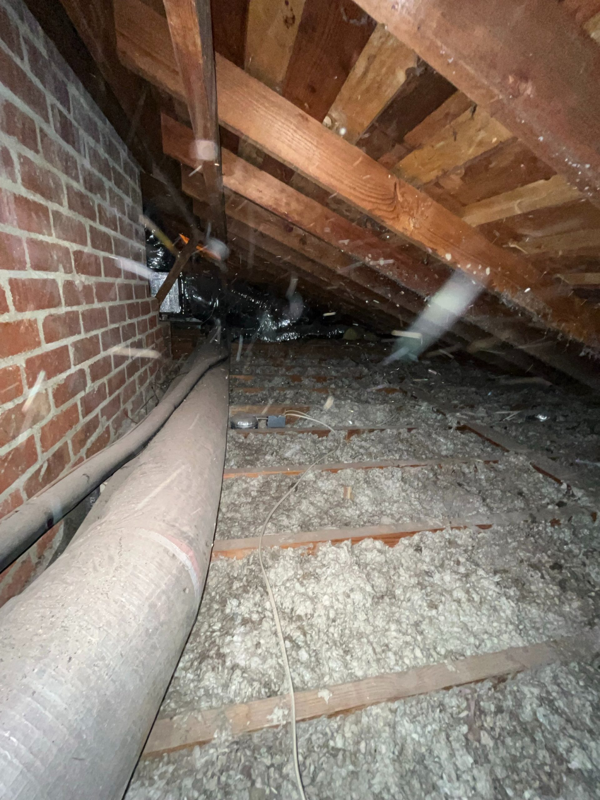 Keeping Your West LA Crawl Space Mold-Free: Prevention and Action