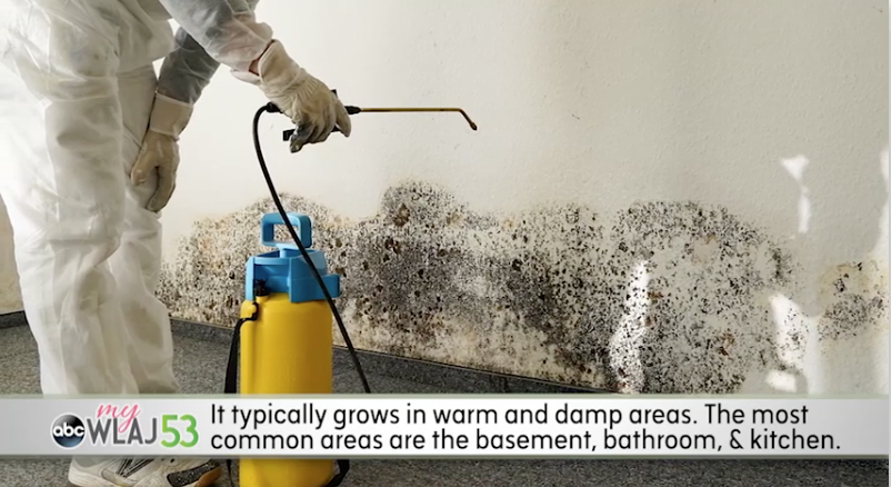 Hidden Health Hazard Detecting Black Mold in Your West LA Air Vents (2025 Guide)