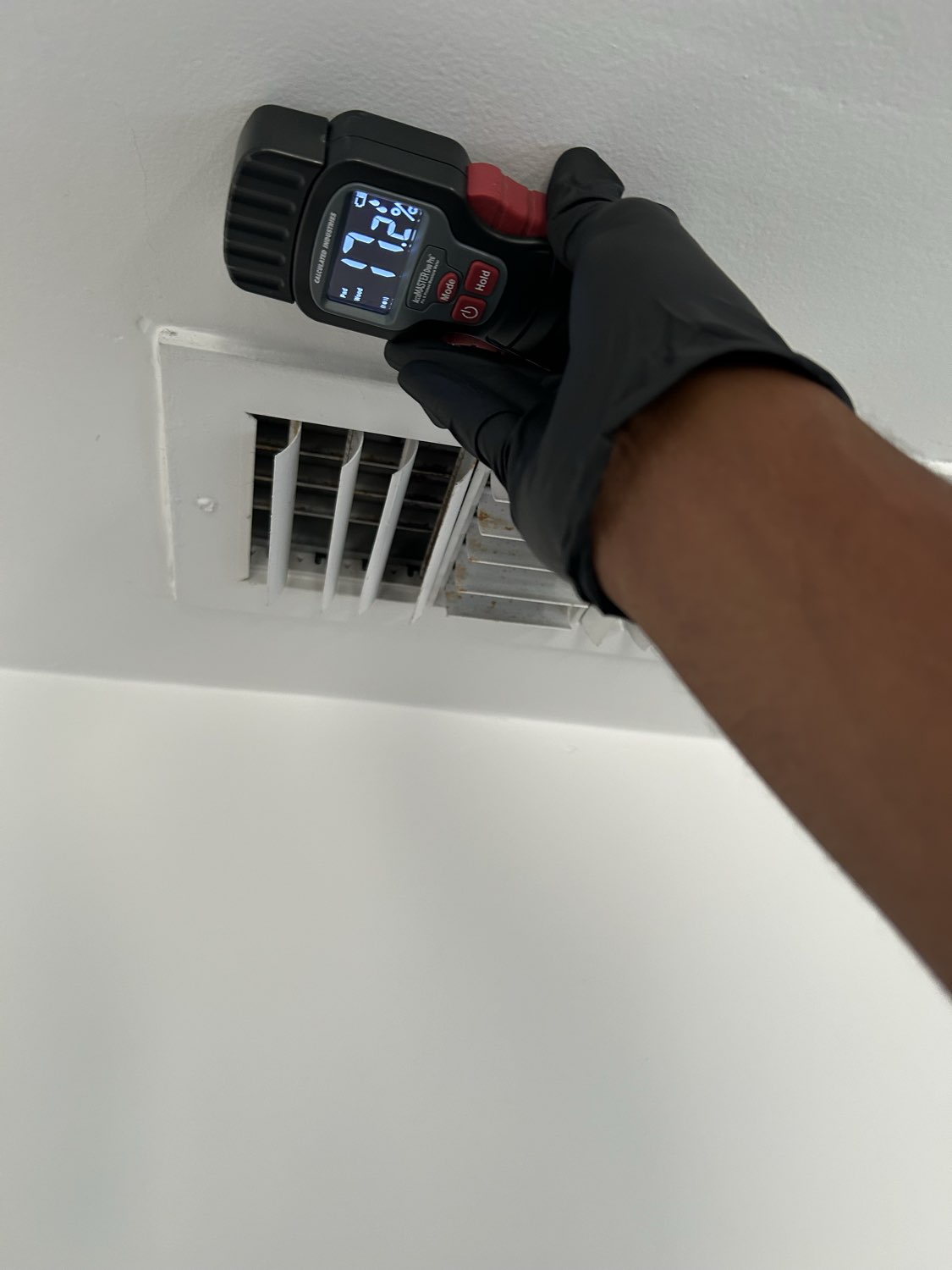 The Silent Intruder: How Mold Can Affect Your West LA Home and Health in 2025