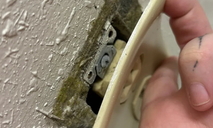 The Hidden Mold Threat in West LA's Older Homes and Apartments
