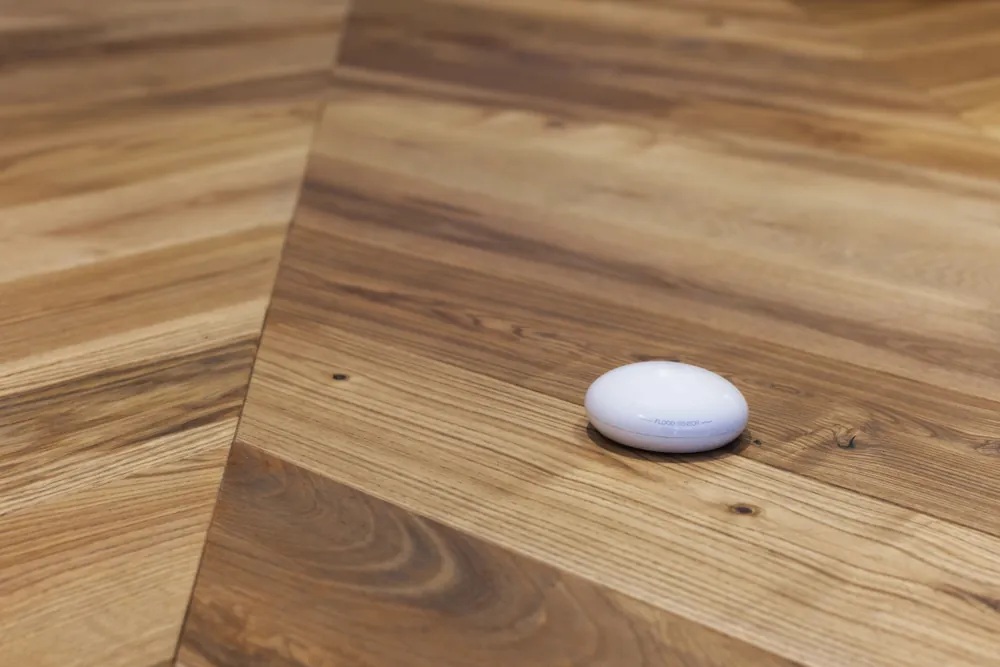 Protect Your West LA Home: Smart Devices to Prevent Water & Fire Disasters in 2025