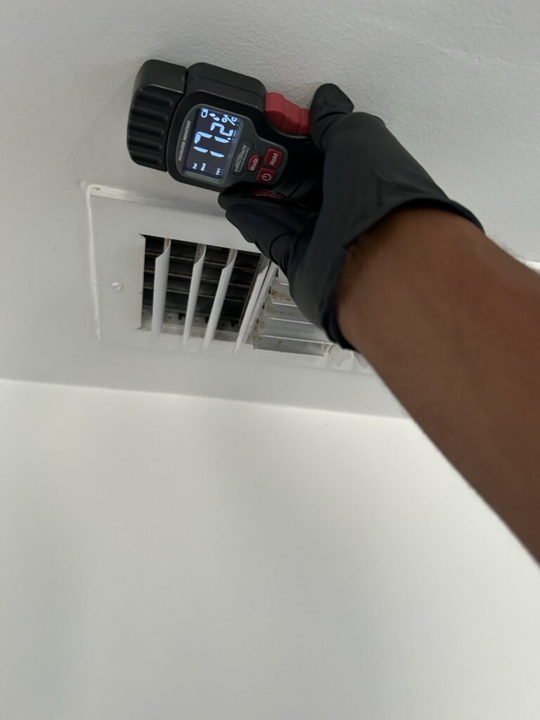 The Silent Intruder: How Mold Can Affect Your West LA Home and Health in 2025
