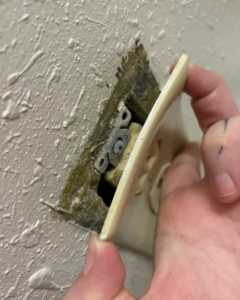 The Hidden Mold Threat in West LA's Older Homes and Apartments