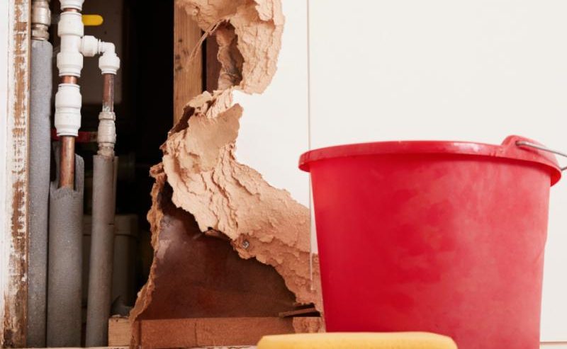 How to Clean Up After Water Damage in Phoenix, Arizona