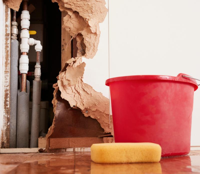 How to Clean Up After Water Damage in Phoenix, Arizona