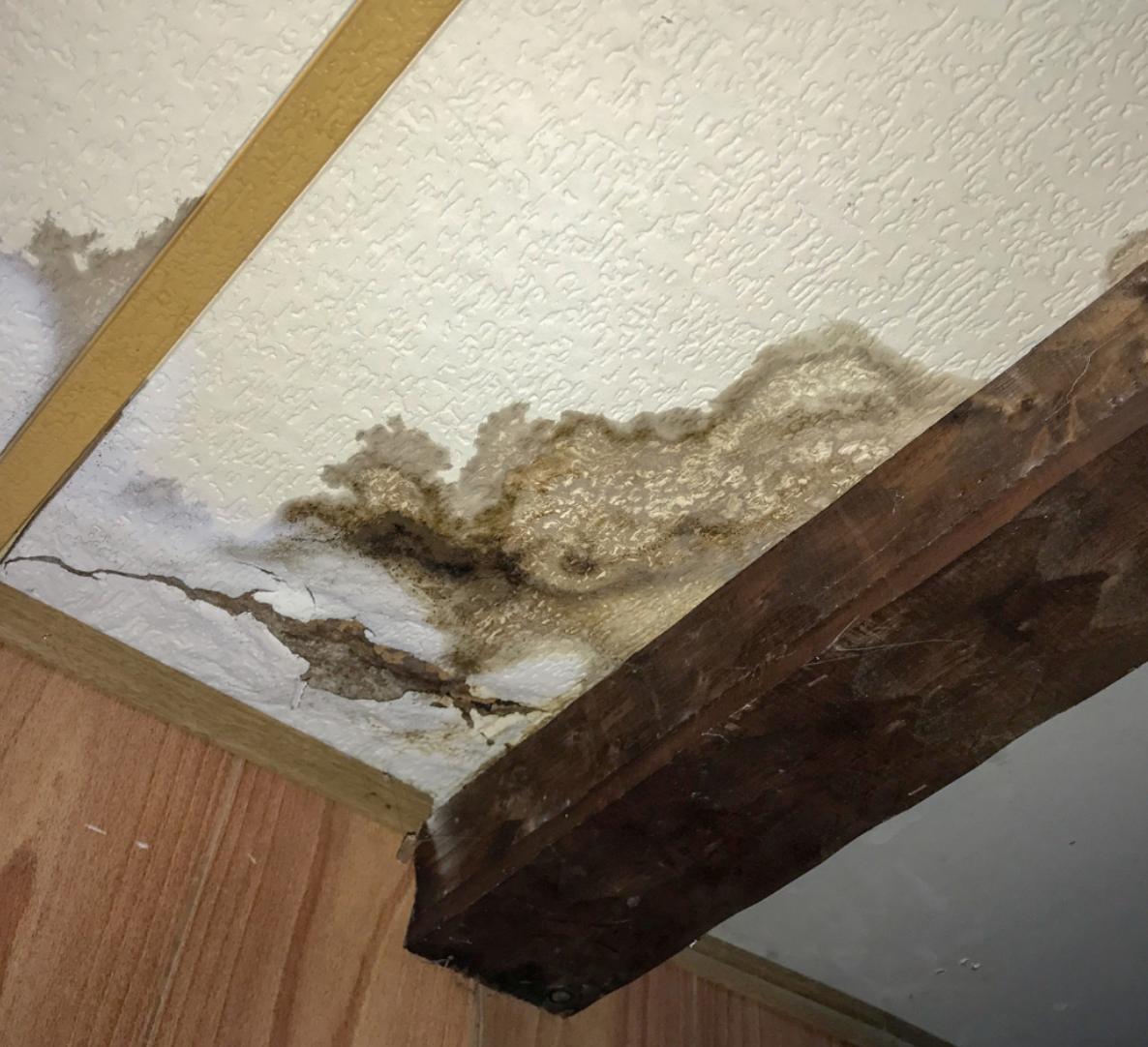 What Does a Water Mitigation Company Near You Do in Phoenix, AZ?