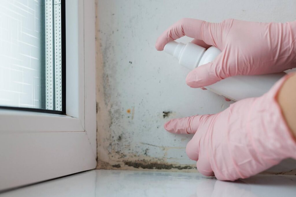 mold