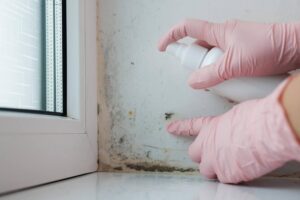 mold