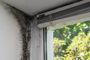 mold hotspot