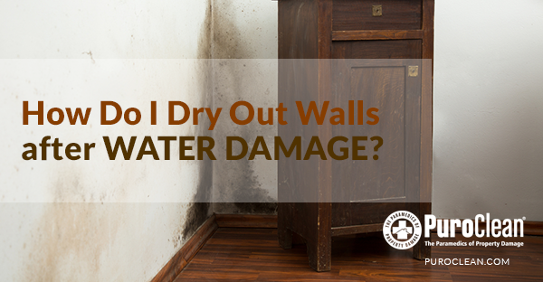 Mold Remediation