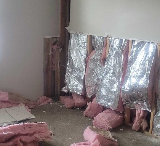insulation being removed from walls during apartment restoration project.