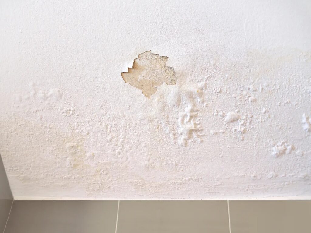 Severely water-damaged white ceiling with a large patch of peeled paint and extensive blistering.
