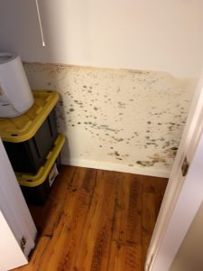 Mold remediation Vermont