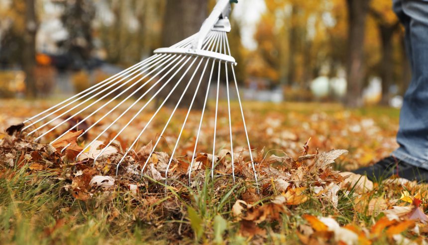 Fall Fire Safety