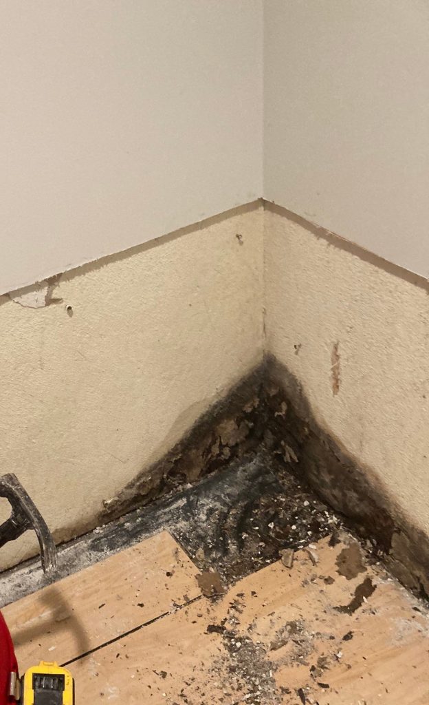 mold immediate action
