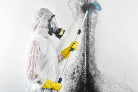 mold air quality
