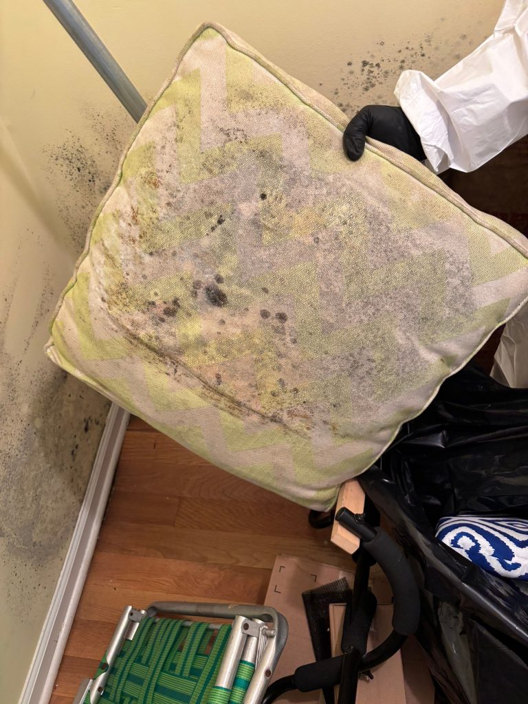 mold spreading through indoor air