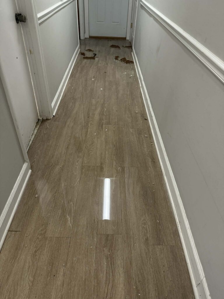 A hallway featuring light wood-look laminate flooring, gray walls with white trim, and flooded with insulation on the floor