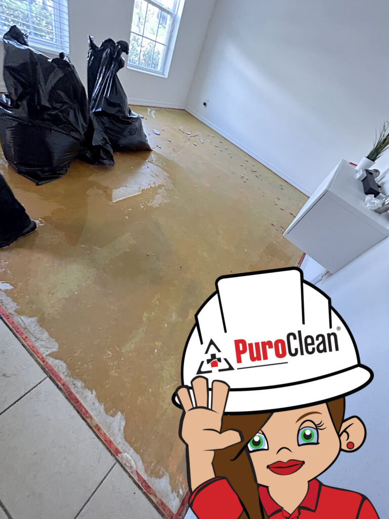 The removal of the carpet and pad was necessary to properly dry this flooded room. You need the best water damage restoration company to help you with the most efficient process to properly dry a flooded home and prevent further damage caused by a broken pipe.