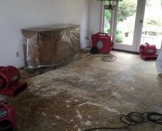 Dining room before water damage remediation by PuroClean of Redmond Woodinville WA